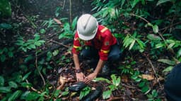 Pengelolaan Hutan Lestari 2