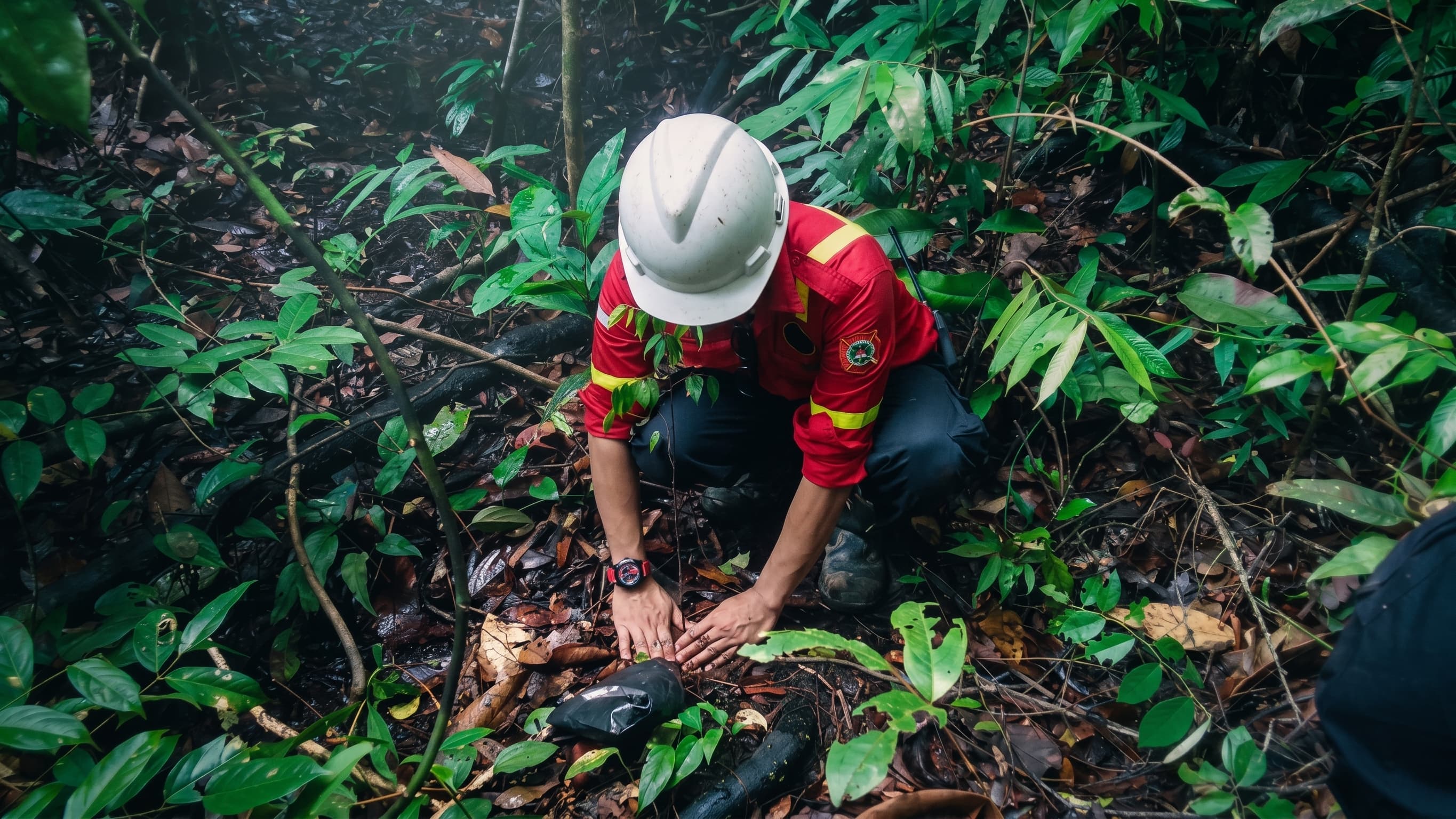 Pengelolaan Hutan Lestari 2