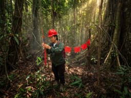 Safeguarding wild life area