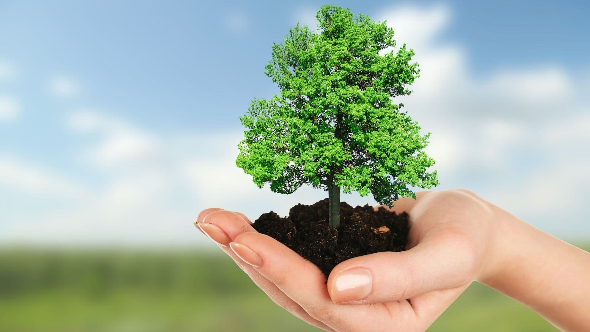 environmental, social, and governance