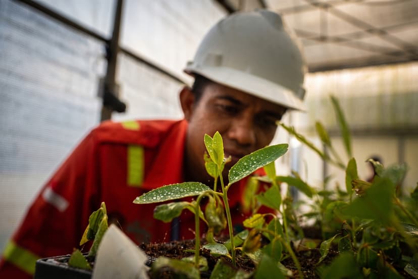 Ekologi Kawasan Rentan