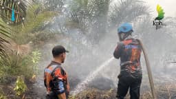 upt kph wilayah kayong utara saat melakukan pemadaman api istimewa jcY5x