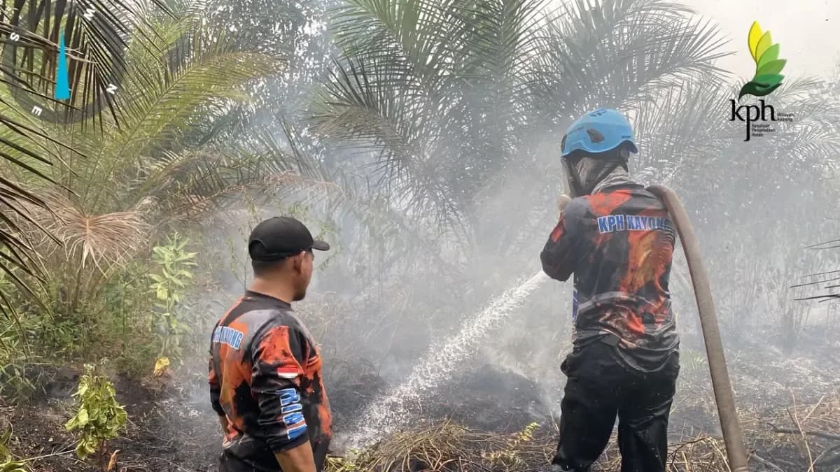 upt kph wilayah kayong utara saat melakukan pemadaman api istimewa jcY5x